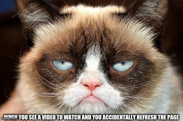 Grumpy Cat Not Amused | WHEN YOU SEE A VIDEO TO WATCH AND YOU ACCIDENTALLY REFRESH THE PAGE | image tagged in memes,grumpy cat not amused,grumpy cat | made w/ Imgflip meme maker