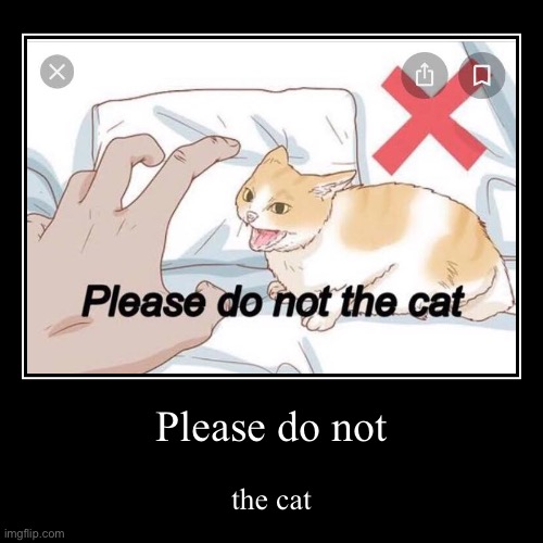 image tagged in funny,demotivationals,please do not the cat | made w/ Imgflip demotivational maker