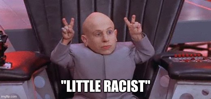 Mini Me Air Quotes | "LITTLE RACIST" | image tagged in mini me air quotes | made w/ Imgflip meme maker