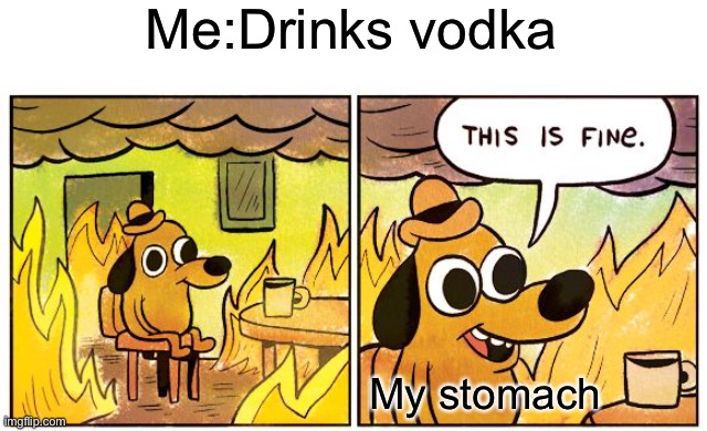 This Is Fine | Me:Drinks vodka; My stomach | image tagged in memes,this is fine | made w/ Imgflip meme maker