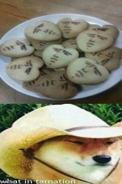 These horrifying cookies... | image tagged in memes,drake hotline bling | made w/ Imgflip meme maker