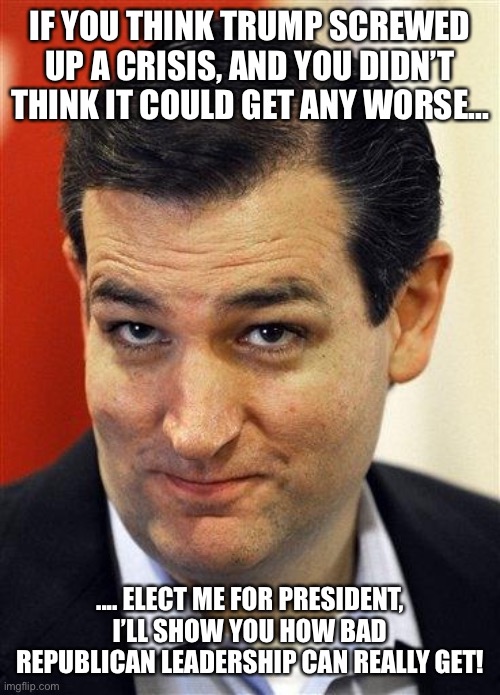 Bashful Ted Cruz | IF YOU THINK TRUMP SCREWED UP A CRISIS, AND YOU DIDN’T THINK IT COULD GET ANY WORSE... .... ELECT ME FOR PRESIDENT, I’LL SHOW YOU HOW BAD REPUBLICAN LEADERSHIP CAN REALLY GET! | image tagged in bashful ted cruz | made w/ Imgflip meme maker
