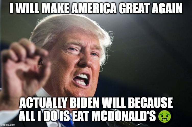 donald trump | I WILL MAKE AMERICA GREAT AGAIN; ACTUALLY BIDEN WILL BECAUSE ALL I DO IS EAT MCDONALD'S🤢 | image tagged in donald trump | made w/ Imgflip meme maker