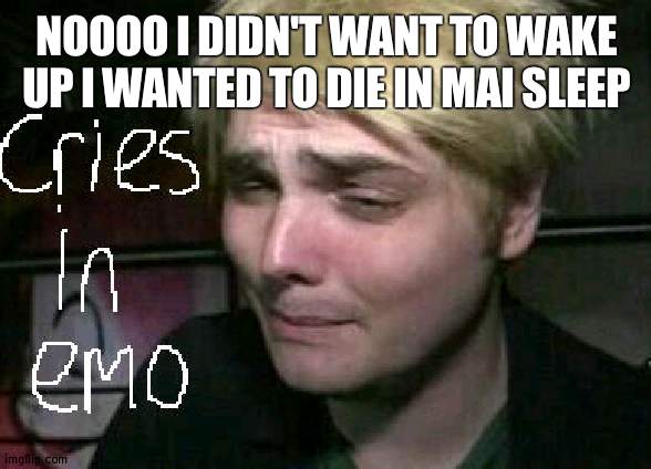 cries in emo | NOOOO I DIDN'T WANT TO WAKE UP I WANTED TO DIE IN MAI SLEEP | image tagged in cries in emo | made w/ Imgflip meme maker