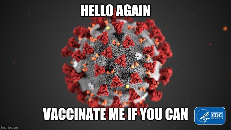 Covid 19 | HELLO AGAIN; VACCINATE ME IF YOU CAN | image tagged in covid 19,coronavirus,covid-19,vaccines | made w/ Imgflip meme maker
