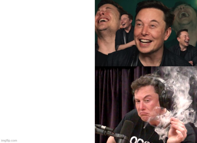 Elon Drake | image tagged in blank white template,elon musk laughing,elon musk weed,drake | made w/ Imgflip meme maker