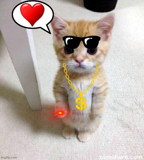 cat | image tagged in memes,cute cat,cats,cat | made w/ Imgflip meme maker