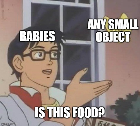 IS THIS A? | ANY SMALL
OBJECT; BABIES; IS THIS FOOD? | image tagged in memes,is this a pigeon,funny memes,meme,lol | made w/ Imgflip meme maker