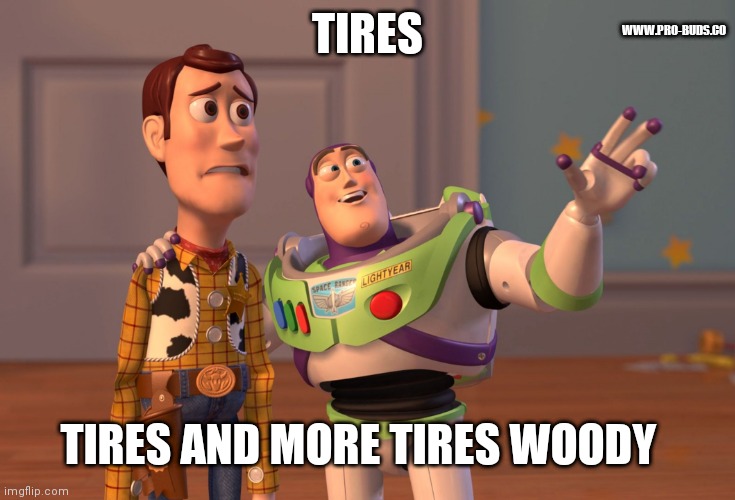 www.pro-buds.co tires | WWW.PRO-BUDS.CO; TIRES; TIRES AND MORE TIRES WOODY | image tagged in memes,x x everywhere | made w/ Imgflip meme maker