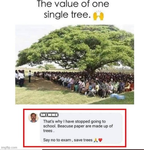 save trees | SOFT MEMER | image tagged in save the earth | made w/ Imgflip meme maker