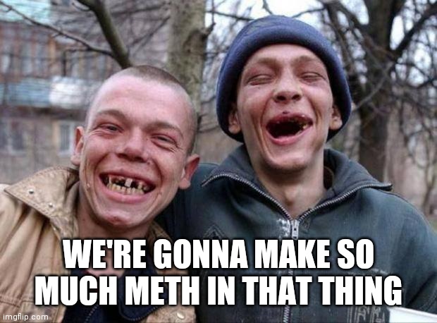 No teeth | WE'RE GONNA MAKE SO MUCH METH IN THAT THING | image tagged in no teeth | made w/ Imgflip meme maker