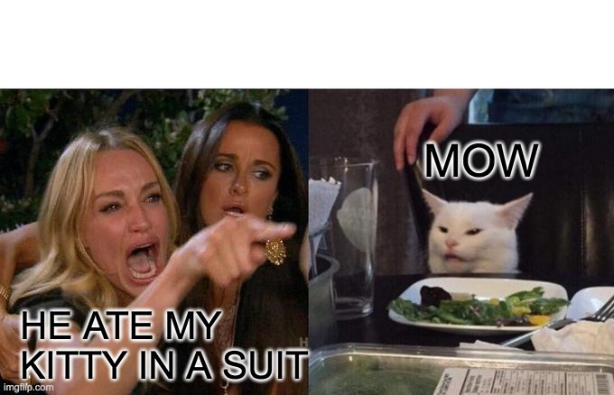 Woman Yelling At Cat | MOW; HE ATE MY KITTY IN A SUIT | image tagged in memes,woman yelling at cat | made w/ Imgflip meme maker