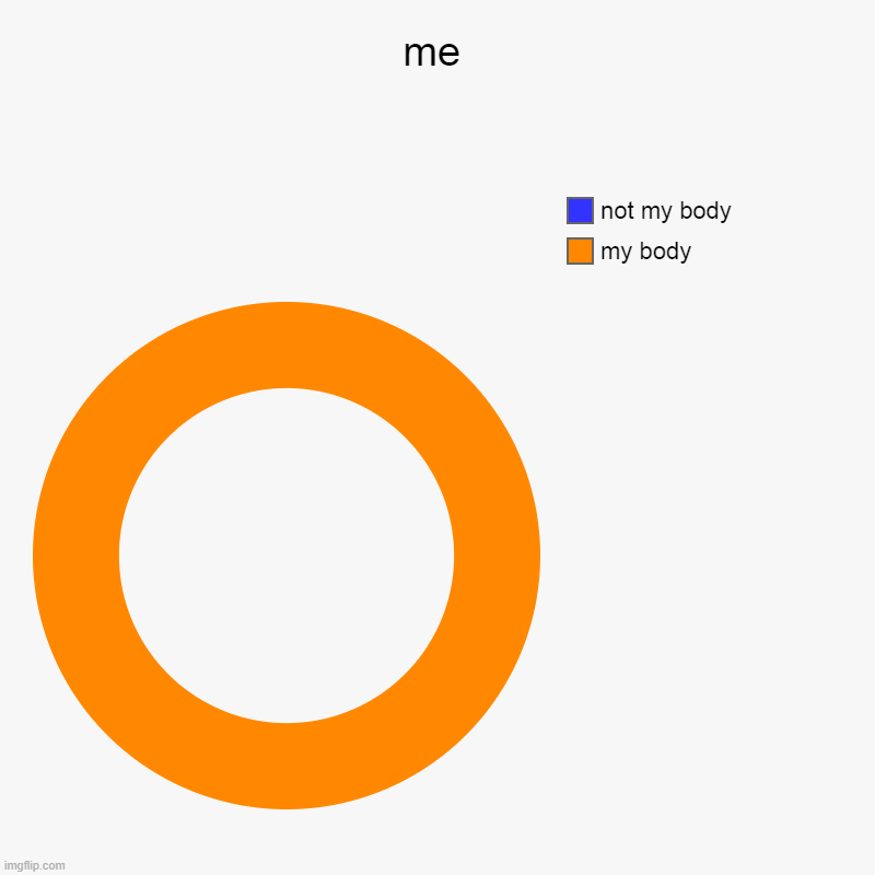 my body | me | my body, not my body | image tagged in charts,donut charts | made w/ Imgflip chart maker