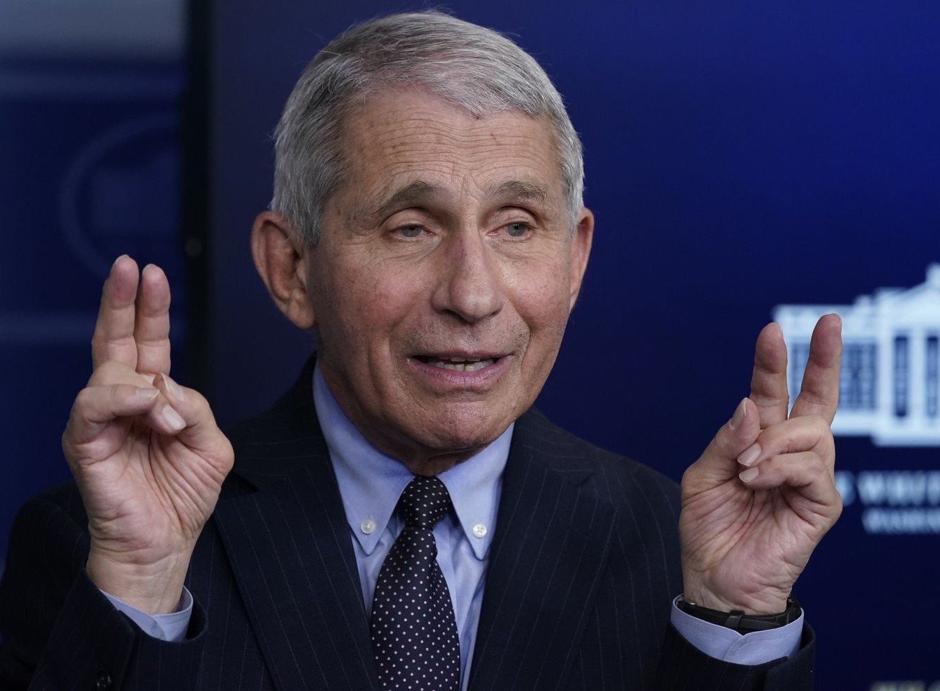 High Quality Anthony Fauci Blank Meme Template