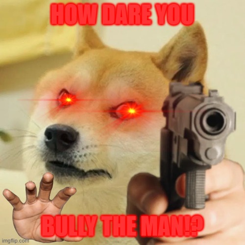 Angry doge | HOW DARE YOU BULLY THE MAN!? | image tagged in angry doge | made w/ Imgflip meme maker