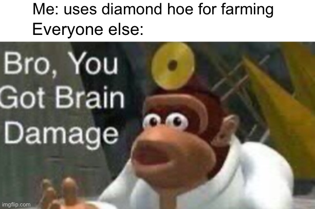 Minecraft meme | Me: uses diamond hoe for farming; Everyone else: | image tagged in u have de brain doomage | made w/ Imgflip meme maker