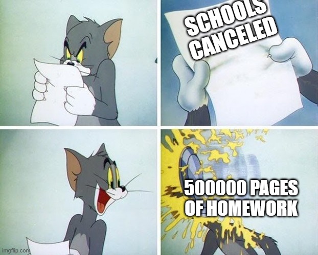 Tom and Jerry custard pie | SCHOOLS CANCELED; 500000 PAGES OF HOMEWORK | image tagged in tom and jerry custard pie | made w/ Imgflip meme maker
