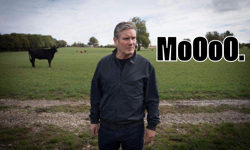 MoOoO. | image tagged in the all new kia stamma from kia,cars,parliament,corbyn's labour party,farming,cows | made w/ Imgflip meme maker