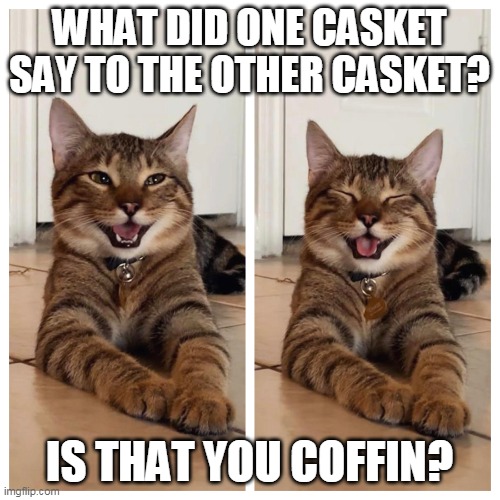 Joking cat | WHAT DID ONE CASKET SAY TO THE OTHER CASKET? IS THAT YOU COFFIN? | image tagged in joking cat | made w/ Imgflip meme maker