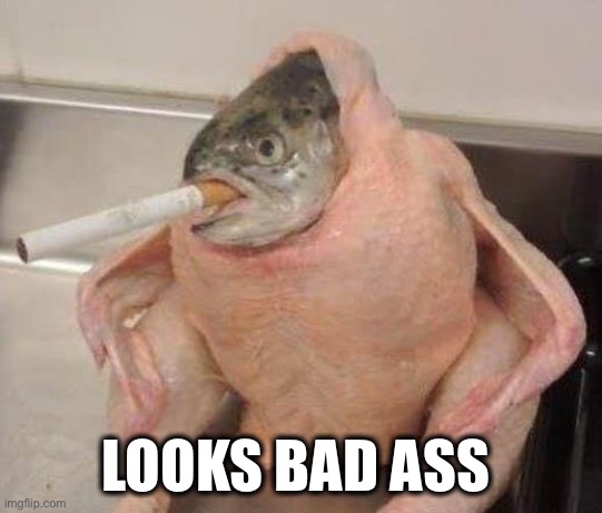 Bad ass fish | LOOKS BAD ASS | image tagged in bad ass fish | made w/ Imgflip meme maker