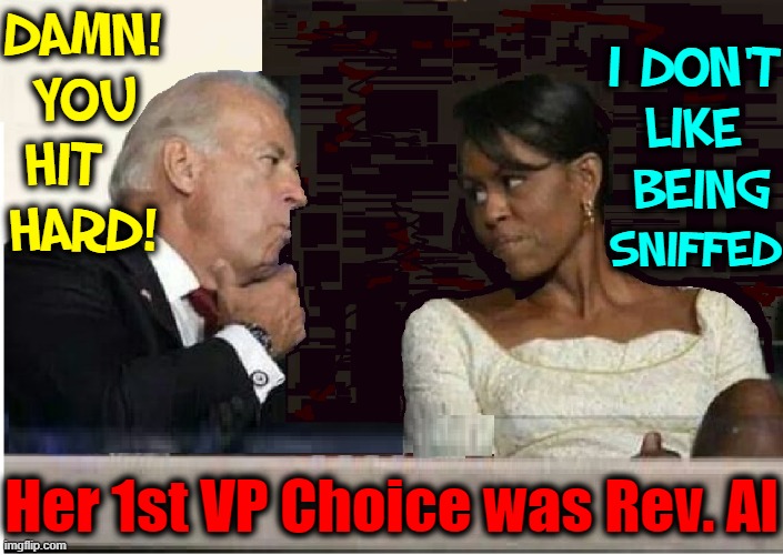 A Meeting of the Minds | DAMN!
YOU
HIT  
HARD! I DON'T
LIKE; BEING; SNIFFED; Her 1st VP Choice was Rev. Al | image tagged in vince vance,joe biden,michelle obama,sniffing,memes,al sharpton | made w/ Imgflip meme maker