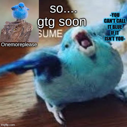 Onemoreplease's template | so.... gtg soon | image tagged in onemoreplease's template | made w/ Imgflip meme maker
