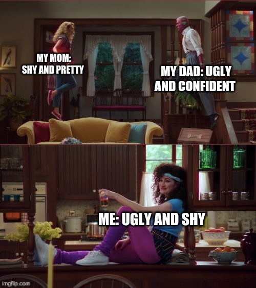 True | MY MOM: SHY AND PRETTY; MY DAD: UGLY AND CONFIDENT; ME: UGLY AND SHY | image tagged in wanda/vision/agnes | made w/ Imgflip meme maker