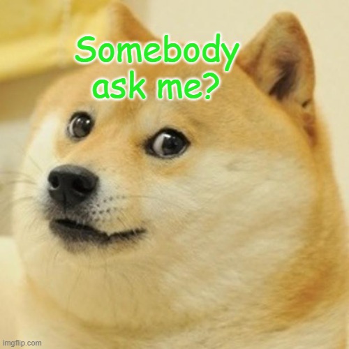 Doge | Somebody ask me? | image tagged in memes,doge | made w/ Imgflip meme maker