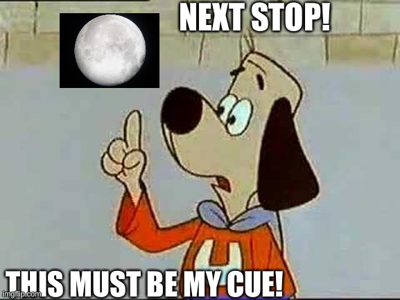 Must be my cue! | NEXT STOP! THIS MUST BE MY CUE! | image tagged in underdog,dogecoin | made w/ Imgflip meme maker
