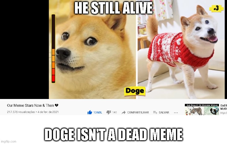 bruh | HE STILL ALIVE; DOGE ISN'T A DEAD MEME | image tagged in doge | made w/ Imgflip meme maker