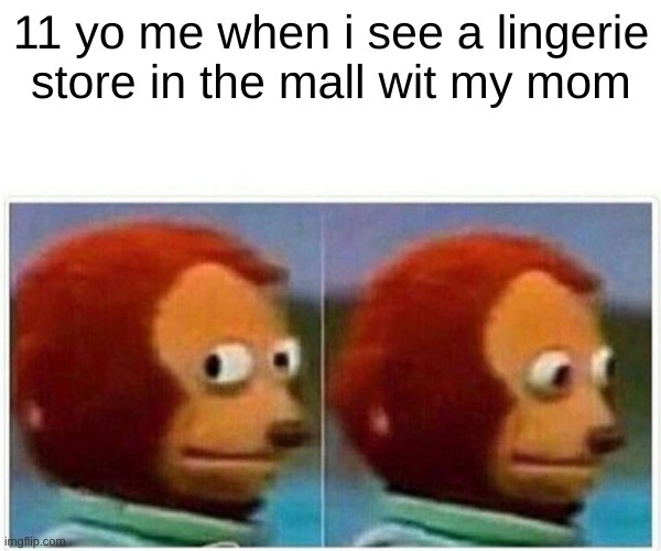 Monkey Puppet | 11 yo me when i see a lingerie store in the mall wit my mom | image tagged in memes,monkey puppet | made w/ Imgflip meme maker