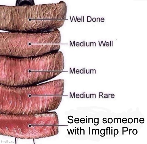 But have you ever seen one? Don’t lie to me | Seeing someone with Imgflip Pro | image tagged in really rare,unfunny,memes | made w/ Imgflip meme maker