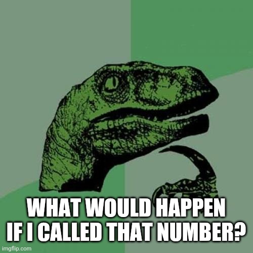 Philosoraptor Meme | WHAT WOULD HAPPEN IF I CALLED THAT NUMBER? | image tagged in memes,philosoraptor | made w/ Imgflip meme maker