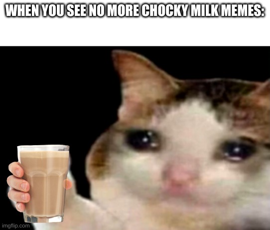 No more chocky milk ;-; | WHEN YOU SEE NO MORE CHOCKY MILK MEMES: | image tagged in sad cat thumbs up | made w/ Imgflip meme maker