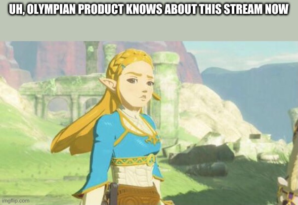 Judging zelda | UH, OLYMPIAN PRODUCT KNOWS ABOUT THIS STREAM NOW | image tagged in judging zelda | made w/ Imgflip meme maker