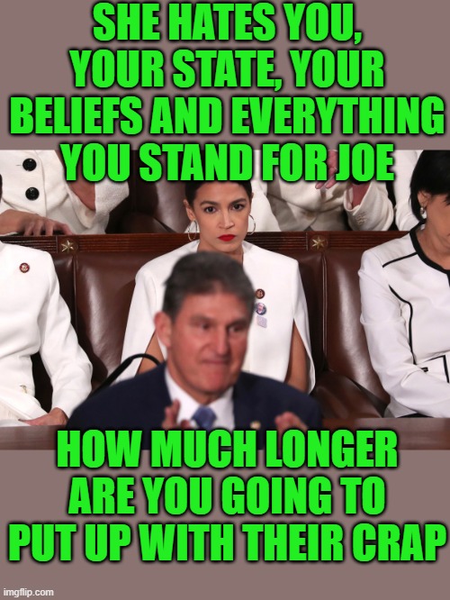 Their going to primary you joe | SHE HATES YOU, YOUR STATE, YOUR BELIEFS AND EVERYTHING YOU STAND FOR JOE; HOW MUCH LONGER ARE YOU GOING TO PUT UP WITH THEIR CRAP | image tagged in democrats,aoc,fascism | made w/ Imgflip meme maker