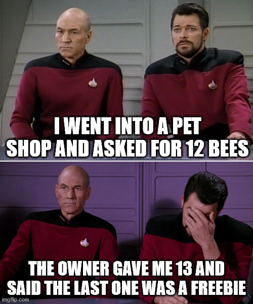 Picard Riker listening to a pun | I WENT INTO A PET SHOP AND ASKED FOR 12 BEES; THE OWNER GAVE ME 13 AND SAID THE LAST ONE WAS A FREEBIE | image tagged in picard riker listening to a pun | made w/ Imgflip meme maker