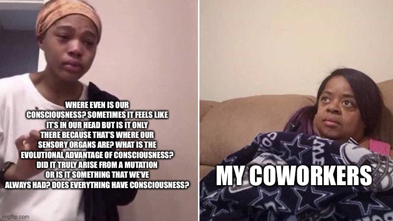 Me after listening to too much Sam Harris | WHERE EVEN IS OUR CONSCIOUSNESS? SOMETIMES IT FEELS LIKE IT’S IN OUR HEAD BUT IS IT ONLY THERE BECAUSE THAT’S WHERE OUR SENSORY ORGANS ARE? WHAT IS THE EVOLUTIONAL ADVANTAGE OF CONSCIOUSNESS? DID IT TRULY ARISE FROM A MUTATION OR IS IT SOMETHING THAT WE’VE ALWAYS HAD? DOES EVERYTHING HAVE CONSCIOUSNESS? MY COWORKERS | image tagged in me explaining to my mom | made w/ Imgflip meme maker