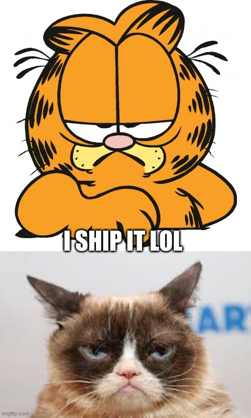 I SHIP IT LOL | image tagged in garfield,grumpy cat,ship,lol,fun | made w/ Imgflip meme maker