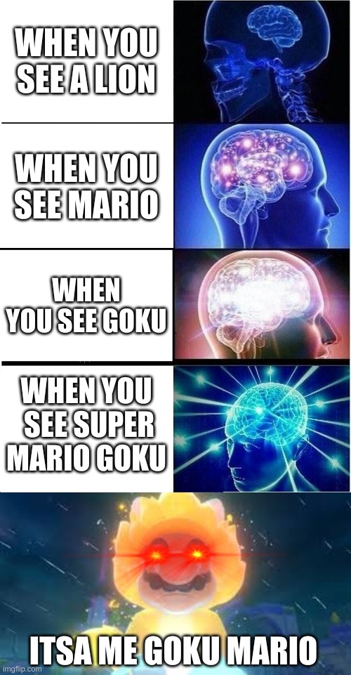 WHEN YOU SEE A LION; WHEN YOU SEE MARIO; WHEN YOU SEE GOKU; WHEN YOU  SEE SUPER MARIO GOKU; ITSA ME GOKU MARIO | image tagged in memes,expanding brain | made w/ Imgflip meme maker