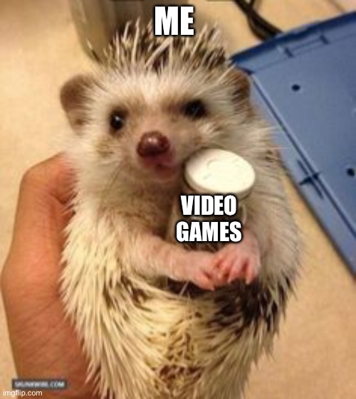 Yey | ME; VIDEO
GAMES | image tagged in hedgehog | made w/ Imgflip meme maker