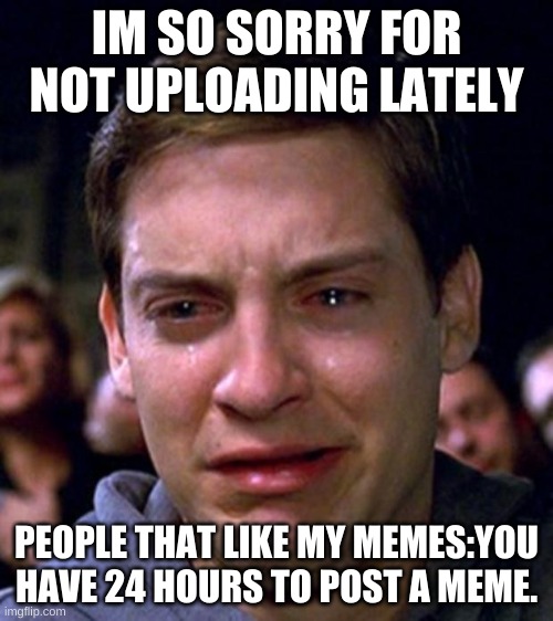 crying peter parker | IM SO SORRY FOR NOT UPLOADING LATELY; PEOPLE THAT LIKE MY MEMES:YOU HAVE 24 HOURS TO POST A MEME. | image tagged in crying peter parker | made w/ Imgflip meme maker