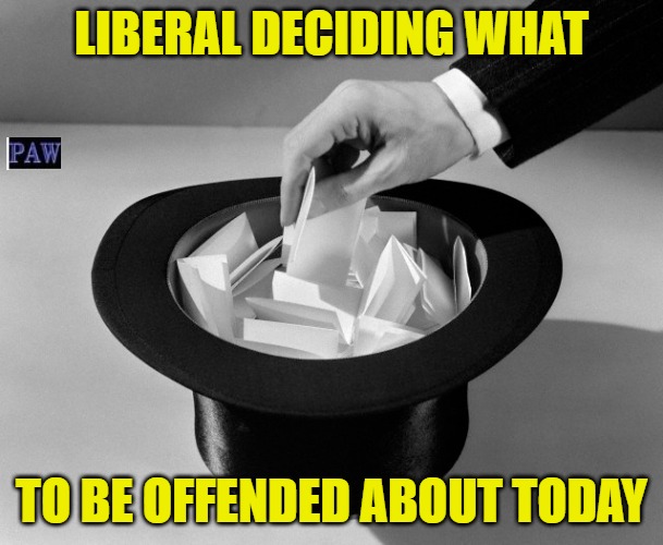 Liberal Deciding | LIBERAL DECIDING WHAT; TO BE OFFENDED ABOUT TODAY | image tagged in liberal,funny,silly,deciding | made w/ Imgflip meme maker