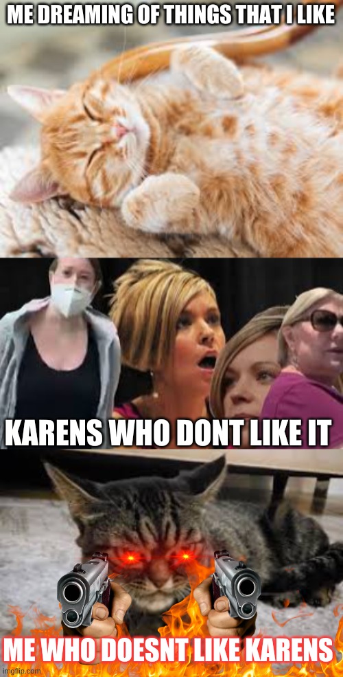 ME DREAMING OF THINGS THAT I LIKE; KARENS WHO DONT LIKE IT; ME WHO DOESNT LIKE KARENS | image tagged in lazy cat | made w/ Imgflip meme maker