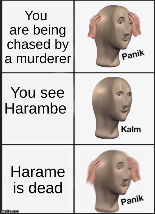Panik Kalm Panik Meme | You  are being chased by a murderer; You see Harambe; Harame is dead | image tagged in memes,panik kalm panik | made w/ Imgflip meme maker
