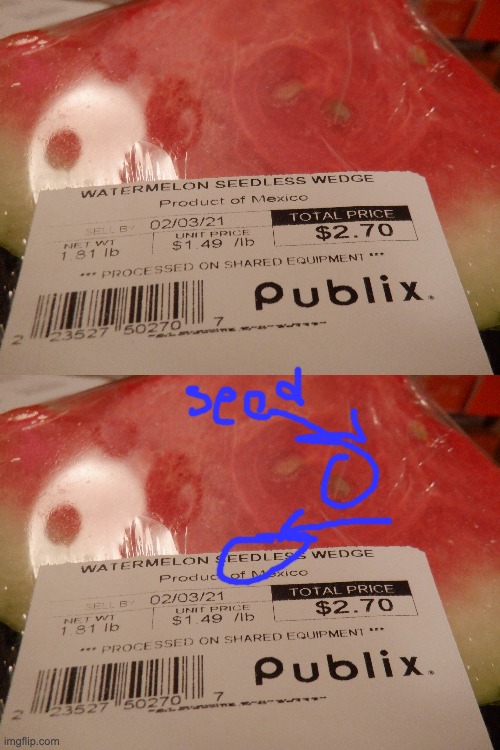 "Seedless" Watermelon | image tagged in watermelon,seeds | made w/ Imgflip meme maker