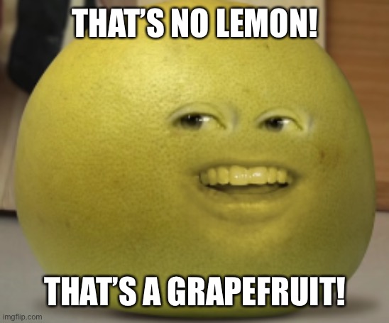grapefruit | THAT’S NO LEMON! THAT’S A GRAPEFRUIT! | image tagged in grapefruit | made w/ Imgflip meme maker