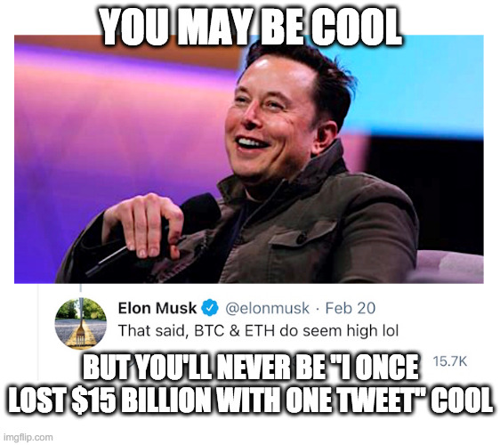 Musk Bitcoin Tweeting | YOU MAY BE COOL; BUT YOU'LL NEVER BE "I ONCE LOST $15 BILLION WITH ONE TWEET" COOL | image tagged in elon musk,bitcoin | made w/ Imgflip meme maker