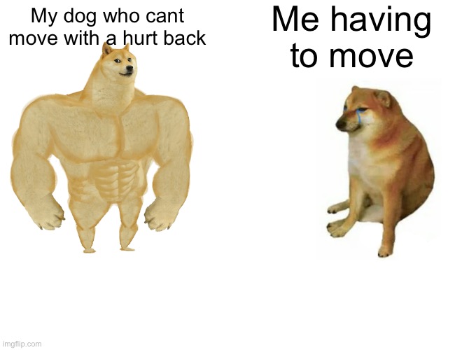 Buff Doge vs. Cheems Meme | Me having to move; My dog who cant move with a hurt back | image tagged in memes,buff doge vs cheems | made w/ Imgflip meme maker