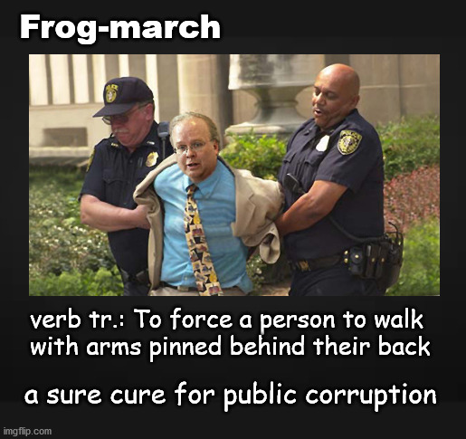 Frog-walking corrupt politicians | Frog-march; verb tr.: To force a person to walk 
with arms pinned behind their back; a sure cure for public corruption | image tagged in politics | made w/ Imgflip meme maker